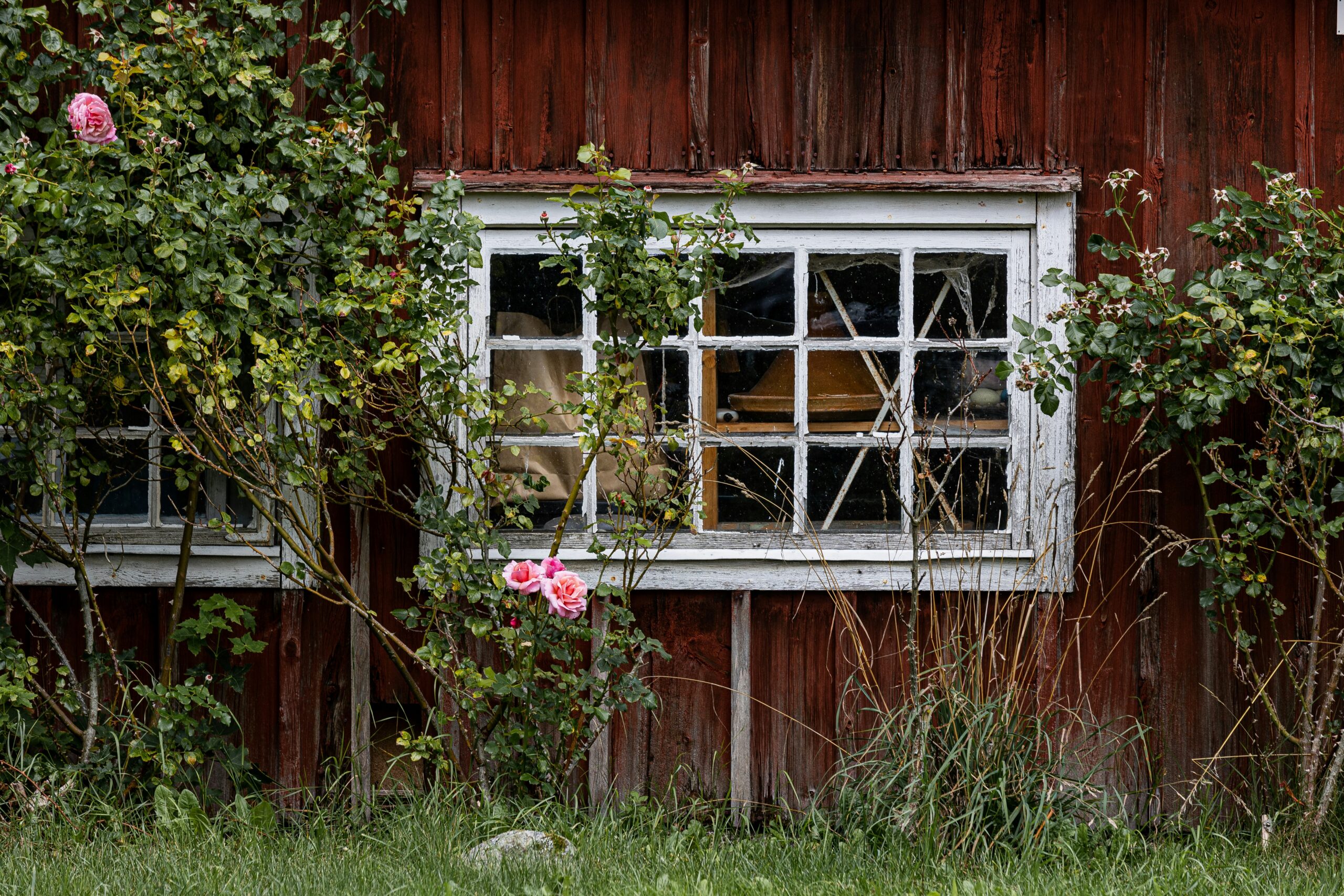 a red barn with a broken window and flowers growing out of it